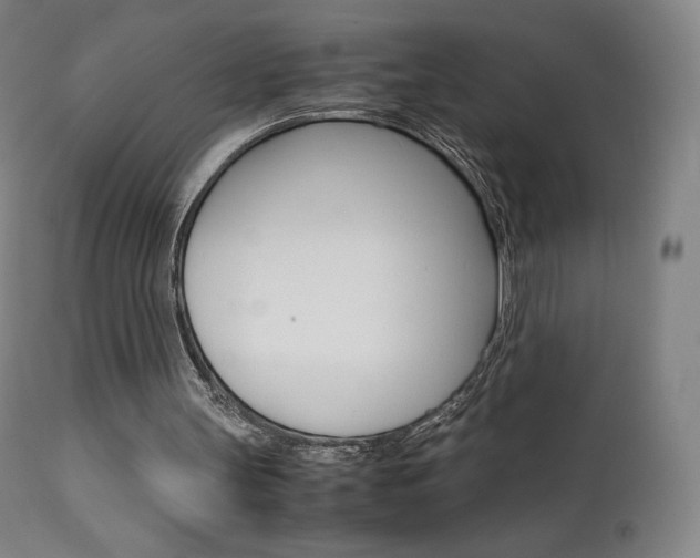 X0000111630147200907171137