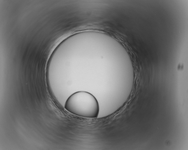 X0000111630148200907171137