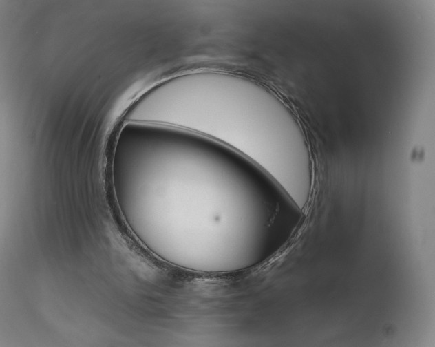 X0000111630150200907171137