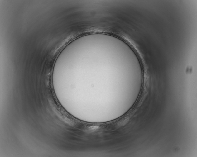 X0000111630153200907171137