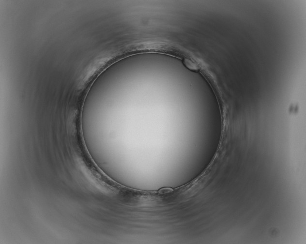 X0000111630154200907171137