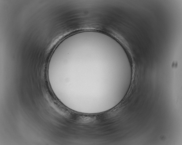 X0000111630155200907171137