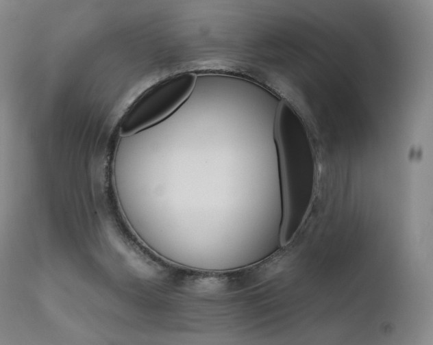 X0000111630156200907171137