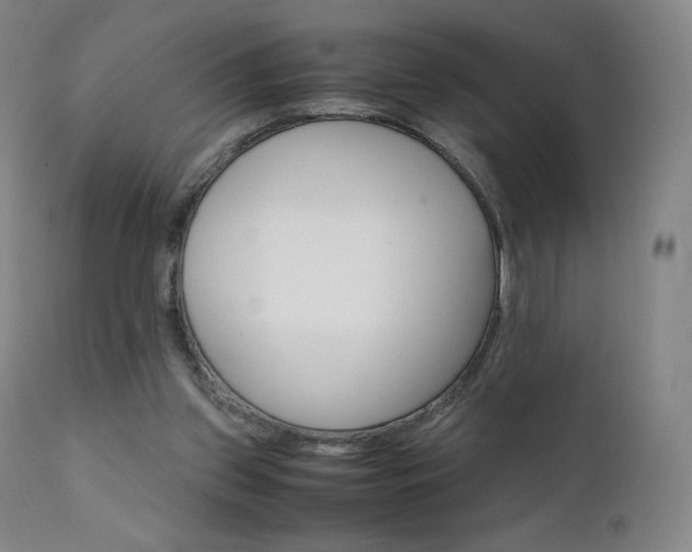 X0000111630157200907171137