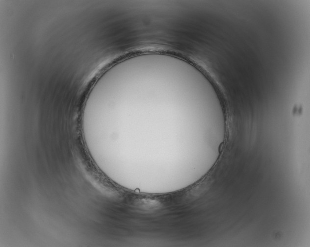 X0000111630159200907171137