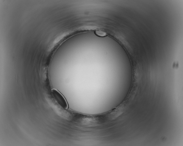 X0000111630160200907171137