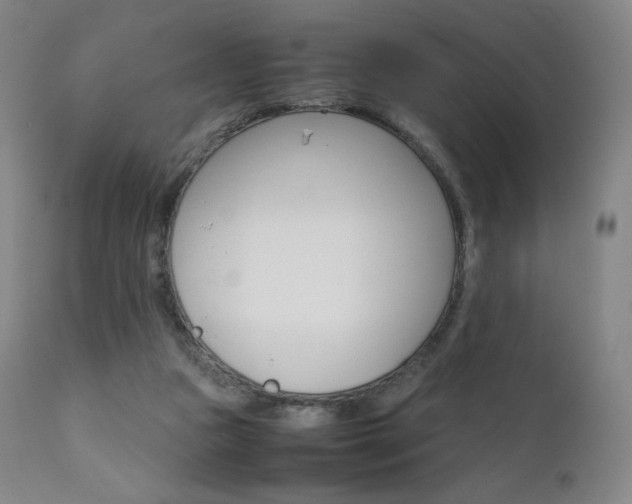 X0000111630161200907171137