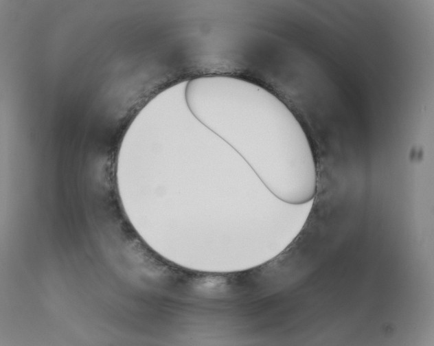 X0000111630162200907171137