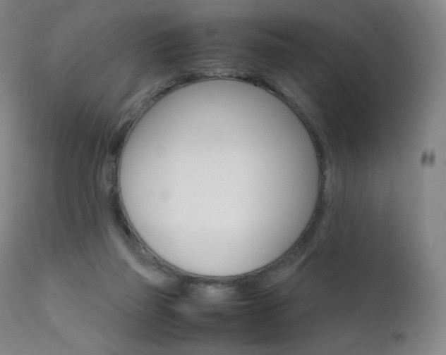 X0000111630165200907171137