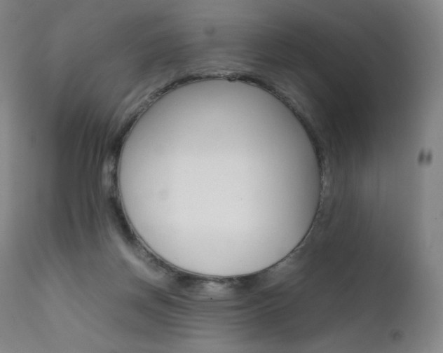 X0000111630166200907171137
