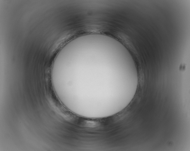 X0000111630167200907171137