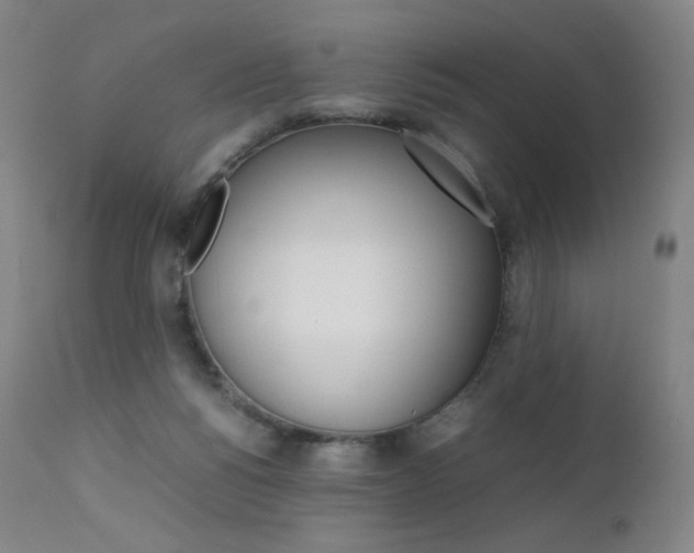 X0000111630168200907171137
