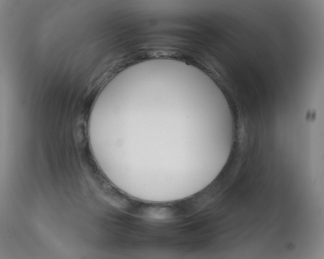 X0000111630169200907171137
