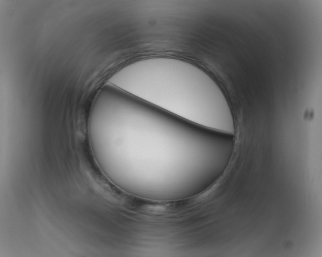 X0000111630170200907171138