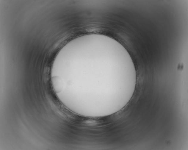X0000111630171200907171138