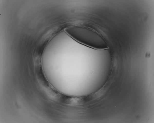 X0000111630172200907171138