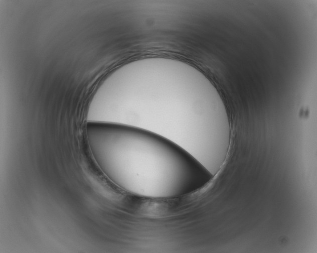 X0000111630174200907171138