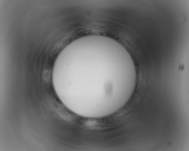 X0000111630177200907171138