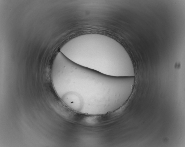 X0000111630178200907171138