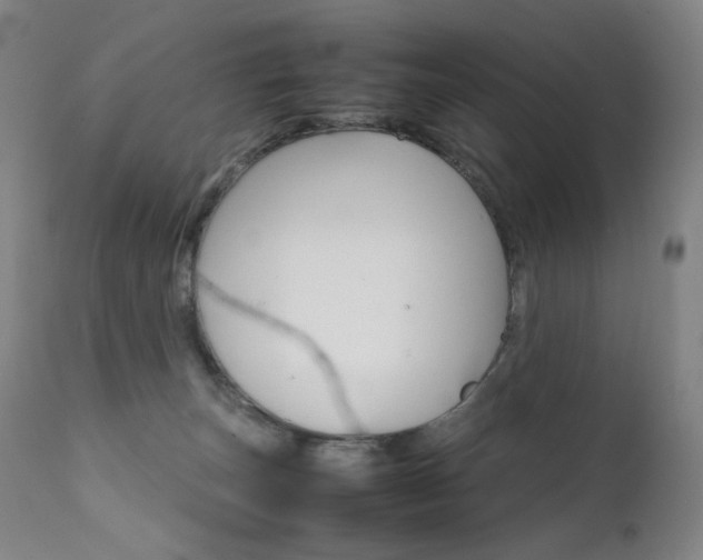 X0000111630179200907171138
