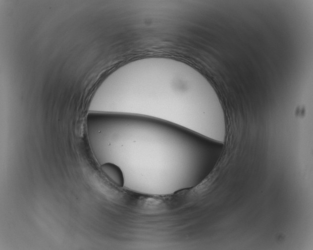 X0000111630180200907171138