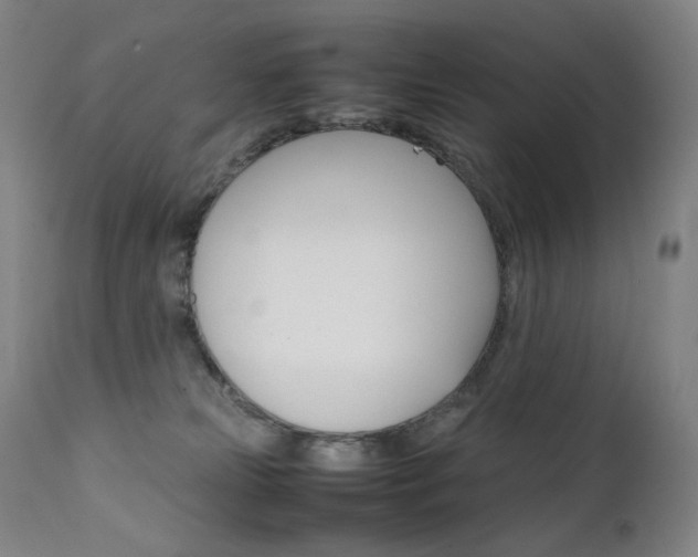 X0000111630181200907171138