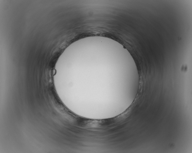 X0000111630182200907171138