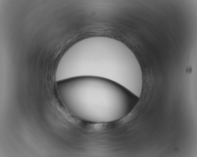 X0000111630184200907171138