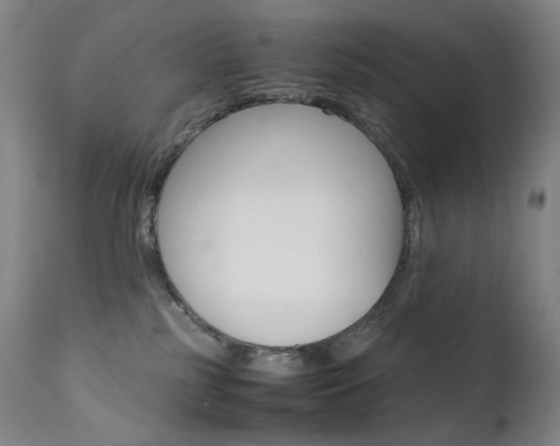 X0000111630185200907171138