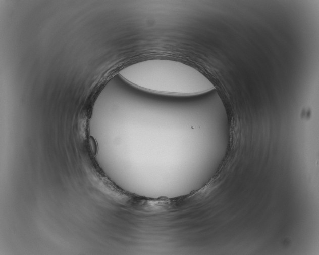 X0000111630188200907171138