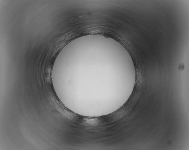 X0000111630189200907171138