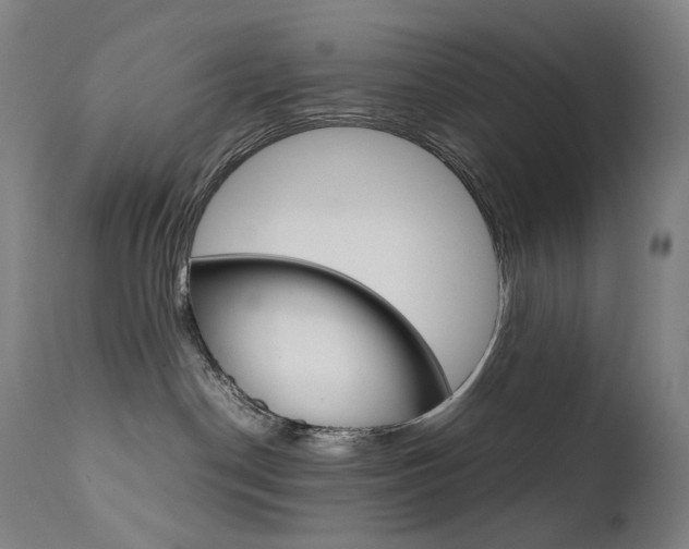 X0000111630190200907171138