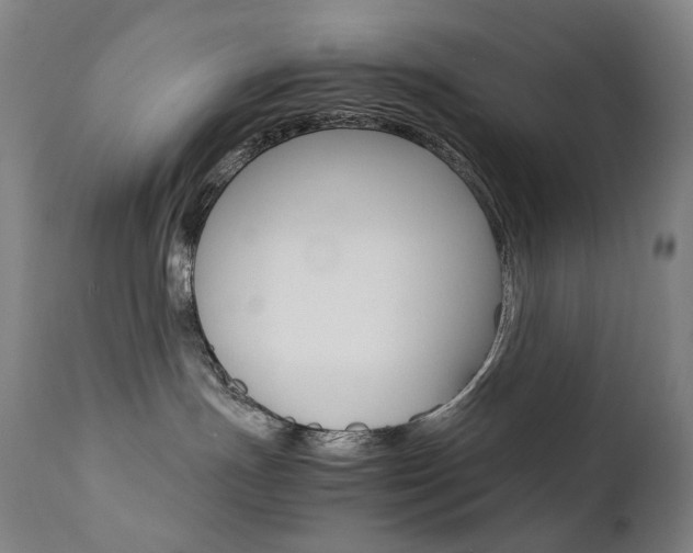 X0000111630191200907171138