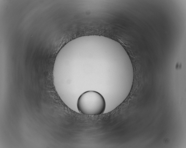 X0000111630192200907171138