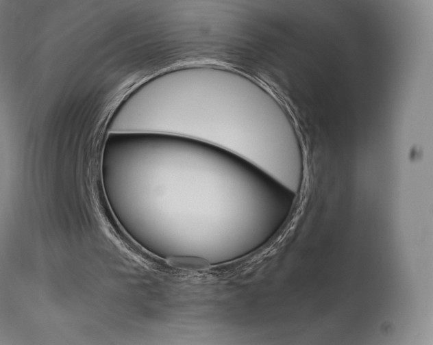 X0000111630193200907171137