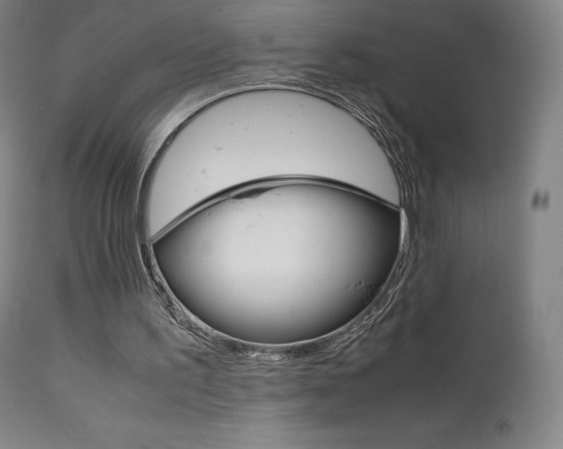 X0000111630195200907171137