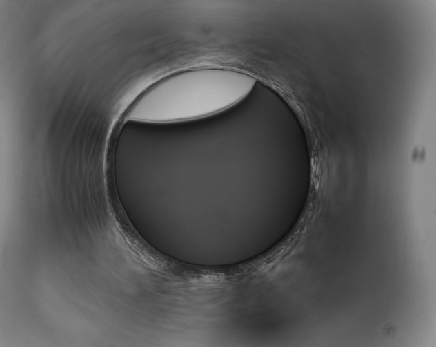 X0000111630196200907171137