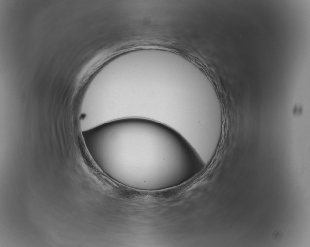 X0000111630197200907171137