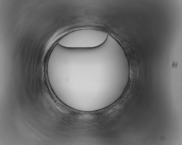X0000111630198200907171137