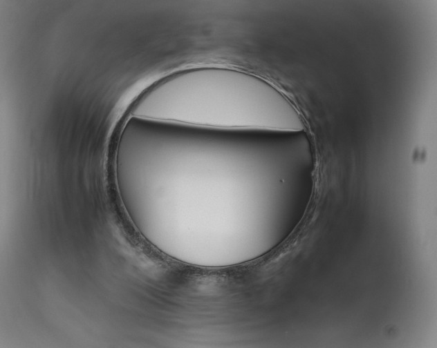X0000111630200200907171137
