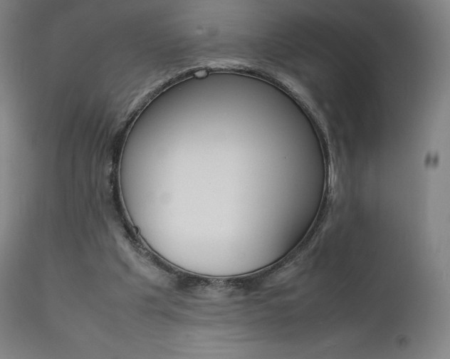 X0000111630201200907171137