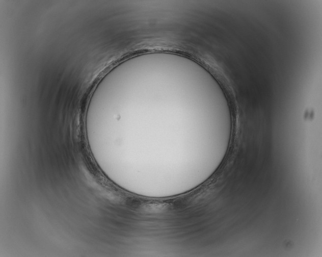 X0000111630202200907171137
