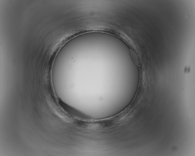 X0000111630203200907171137