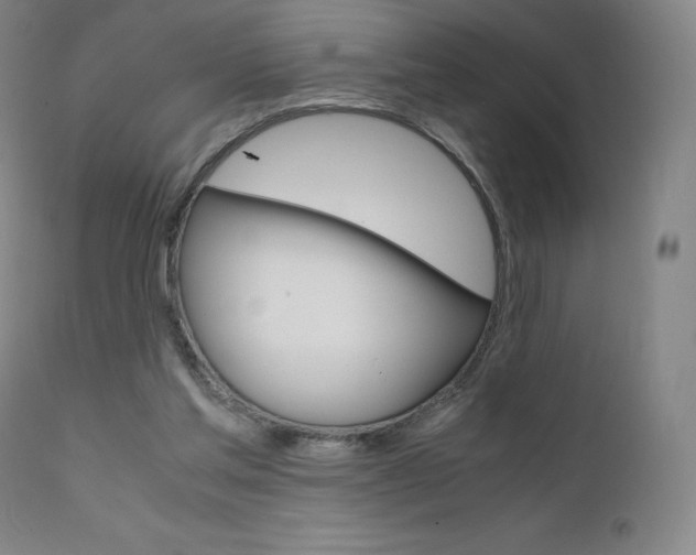 X0000111630205200907171137