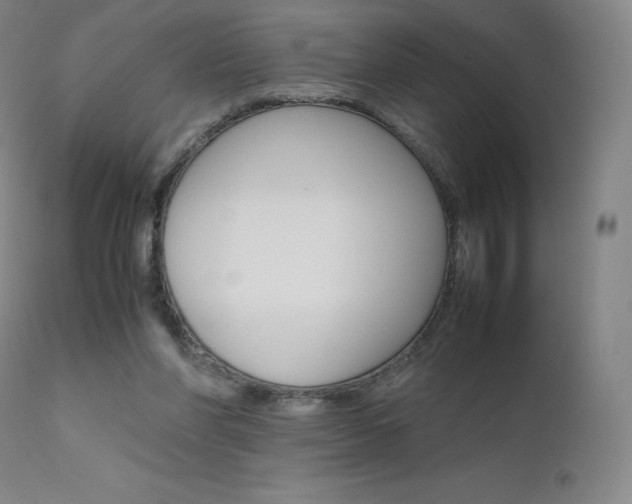 X0000111630206200907171137