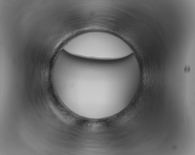 X0000111630208200907171137