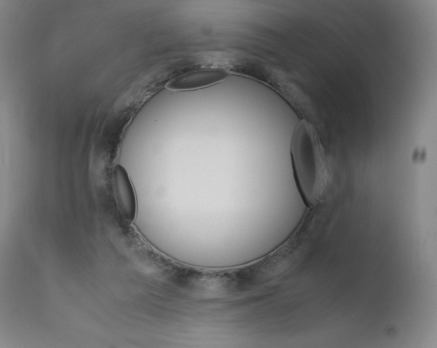 X0000111630209200907171137