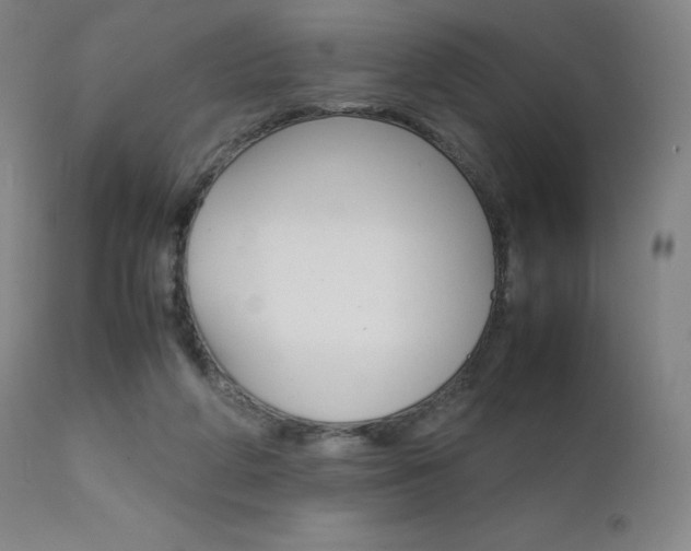 X0000111630210200907171137