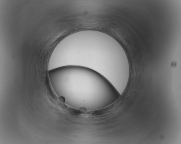 X0000111630211200907171137