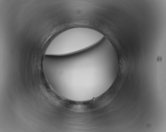 X0000111630212200907171137